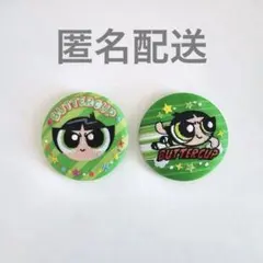 【匿名発送】パワーパフガールズ　刺繍缶バッジ セット