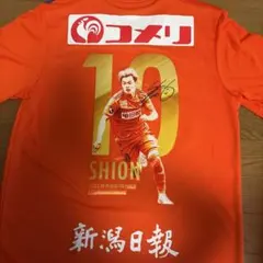 アルビレックス新潟 堀米悠斗 31番 神ユニ 2025.6.11 XL - メルカリ