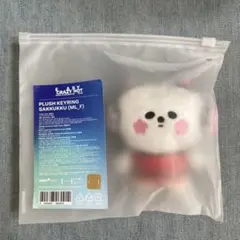SEVENTEEN MINITEEN セブチ ピョプリ PPYOPULI - メルカリ