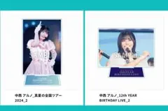 ヒ*シ様 中西アルノ　乃木コレグッズ版　アクリルスタンド 2個