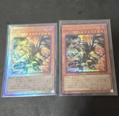 レッドアイズブラックフルメタルドラゴン シク レリーフ 2枚セット