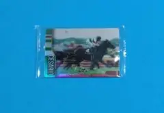 サラブレッドホースコレクション シーザリオ サイン入り カード