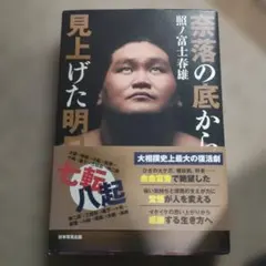 2025年最新】照ノ富士春雄の人気アイテム - メルカリ