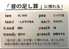 【特別支援教育】英単語365【新品未使用】