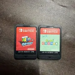 Nintendo Switch ソフト 2本セット