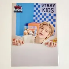 Stray Kids TOY WORLD ラントレ スンミン トレカ