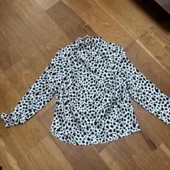 Item thumbnail for item 0056e017-0bf8-47c7-9ac2-288f1f097369