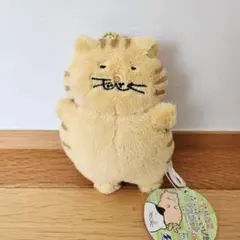 アビシニアン　茶猫　大きめ　ぬいぐるみ　メルカリのみ出品 2025年最新】アビシニアン ぬいぐるみの人気アイテム - メルカリ