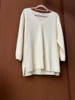 淡い黄色 Vネック リブニット 五分袖　ikka