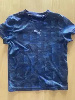 Item thumbnail for item 30f5f818-9176-4e44-946f-09909b6d46f0