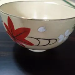 Item thumbnail for item 5d8cae10-0907-49b6-bec2-313ebd8d34bc