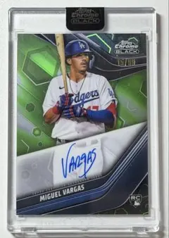 Item thumbnail for item 8ad2e2ff-f93f-4d75-b61b-3155967dd918