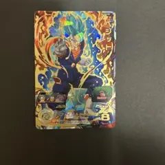 SH1-sec2bcpベジット