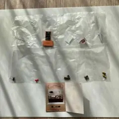 Item thumbnail for item 4a70bef5-495a-4138-957f-a627b0309cf0