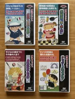 秀逸フラッシュDVDセット　〜星みつる式才能教育〜
