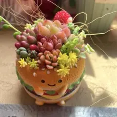 現品限り❣️ハンバーガー♡多肉植物寄せ植え♡そのまま飾れる♡