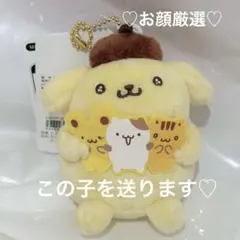 30周年記念　ポムポムプリンMCコレクション　チームプリン　フェア