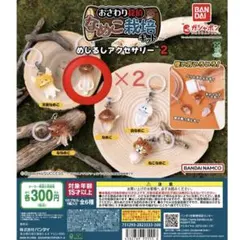 なめこ栽培キット めじるしアクセサリー2 長なめこ2点セット①