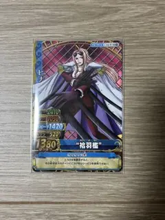 ワンピーベリーマッチ ヒナ SR