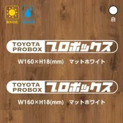 Item thumbnail for item ac5846bc-7b85-46b4-92d2-97f57d9a59ed