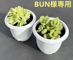 BUN様 リクエスト 2点 まとめ商品