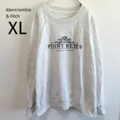 ❤即日発送 Abercrombie & Fitch 裏起毛トレーナー グレー L