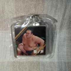 Item thumbnail for item a2d76632-1b07-48d2-9083-b513f04e2f7e