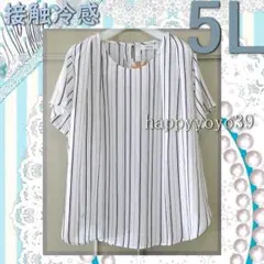 １激安新品５L生成り 縞ジョーゼット クールネック ブラウス 半袖 大きいサイズのサムネイル