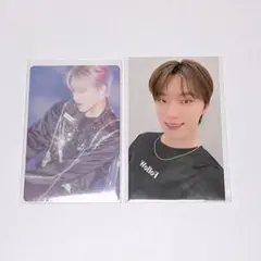 SEVENTEEN ディノ トレカ