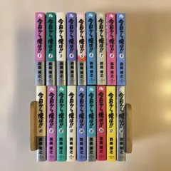 2026年最新】今日から俺は 全巻 文庫の人気アイテム - メルカリ
