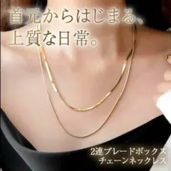 2連　チェーン　ネックレス　ブレードボックス　ゴールド　ステンレス　男女兼用