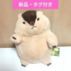 2026年最新】マーモット もっとっとの人気アイテム - メルカリ