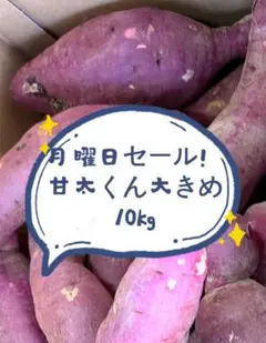 甘太くん 大きめ 10kg　月曜日セール！Doraemon様専用