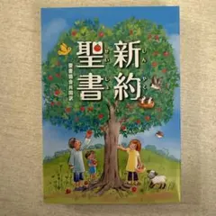 聖書 聖書協会共同訳 SI250