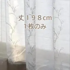 Item thumbnail for item 9a96bda7-0ede-4ffa-8559-cea7e1c750f7