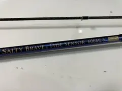 2026年最新】salty braveの人気アイテム - メルカリ
