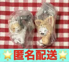 アイエン　ヒョンジン　SKZOO つまんでつなげてますこっと ガチャ