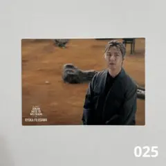 ミセス フォトカード ゼンジン 025 ゼンジン未到とヴェルトラウム