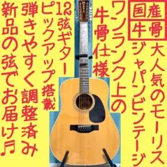 【国産☆牛骨☆エレアコ】MORRIS！B-40！12弦【弾き易く調整☆新品弦】 2026年最新】MORRIS B 12弦の人気アイテム - メルカリ
