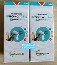 Item thumbnail for item 078813f8-61ab-4bfa-a28f-182b4743341f