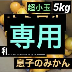 揺れる想い♡華なり♪様専用