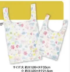 Item thumbnail for item 3d925e0d-a026-48af-b19f-223b45e4cf67