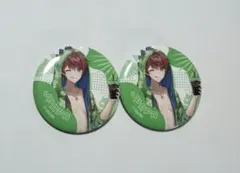 カラフルピーチ じゃぱぱ 缶バッジ サマーランド　2個セット