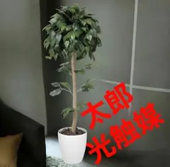 光触媒 人工観葉植物 フェイクグリーン　ベンジャミントピアリー1.2