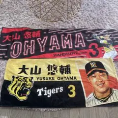 元福岡ソフトバンクホークス 現横浜DeNAベイスターズ 三森大貴 タオル