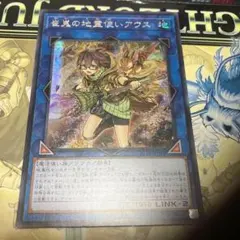遊戯王 崔嵬の地霊使いアウス アジア25thシク - メルカリ