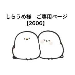 梅ちゃん様 ご確認用 専用ページ 専用…梅ちゃんさま - メルカリ