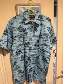 Item thumbnail for item 6946d4f0-845d-4505-99be-130ec518b129