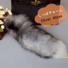 Item thumbnail for item 818ae4b3-cd82-4c5d-a2bb-ae09abb12020