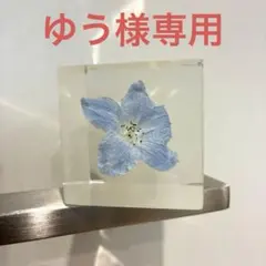 ソラキューブ 2個セット